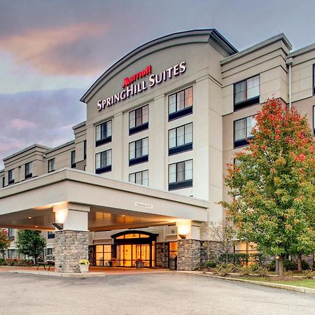 Springhill Suites By Marriott Wheeling Triadelphia Area Екстериор снимка