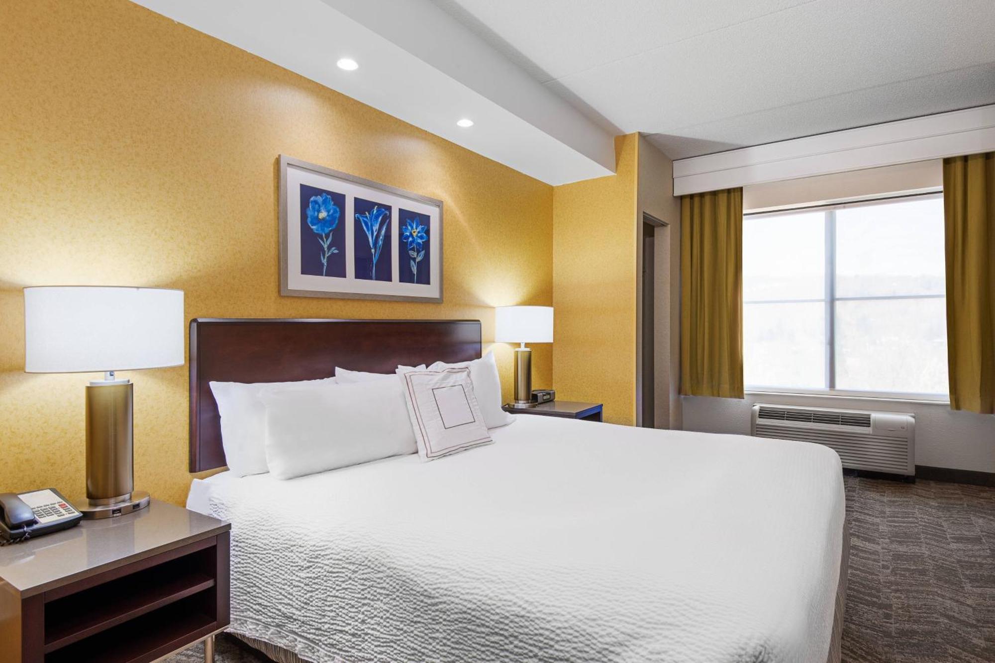 Springhill Suites By Marriott Wheeling Triadelphia Area Екстериор снимка